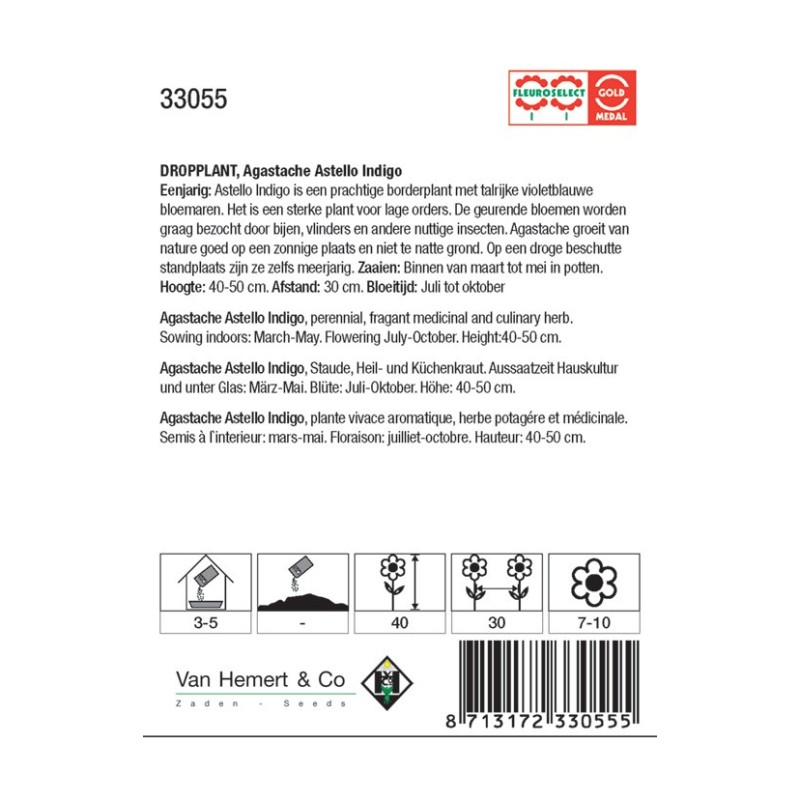 Agastache hybrida 'Astello Indigo' -zaden-