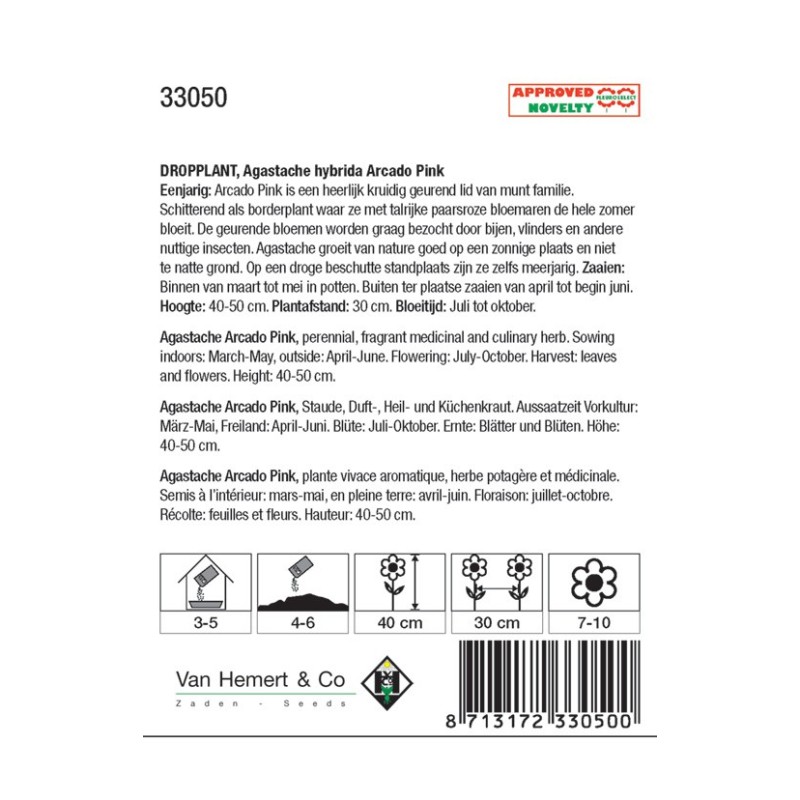Agastache hybrida 'Arcado Pink' -zaden-