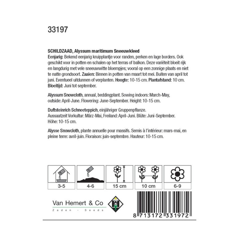Alyssum maritimum 'Sneeuwkleed' -zaden-