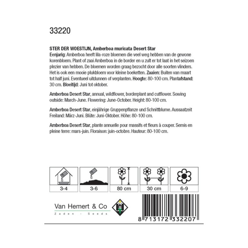 Amberboa muricata 'Desert Star' -zaden-