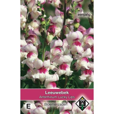 Antirrhinum majus 'Lucky Lips' -zaden-