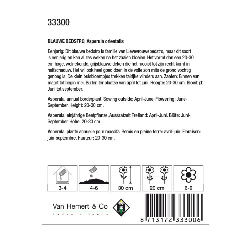 Asperula orientalis -zaden-