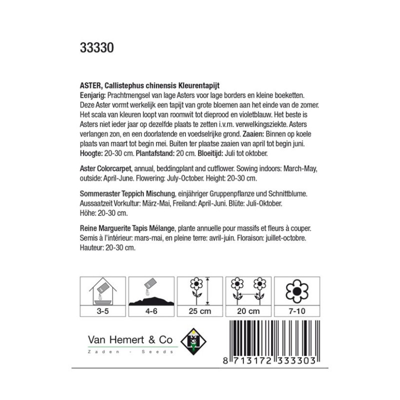 Aster chinensis 'Kleurentapijt' -zaden-