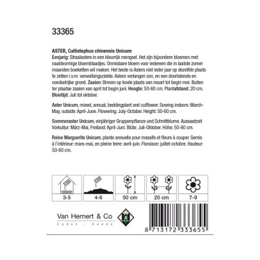 Aster chinensis 'Unicum' -zaden-