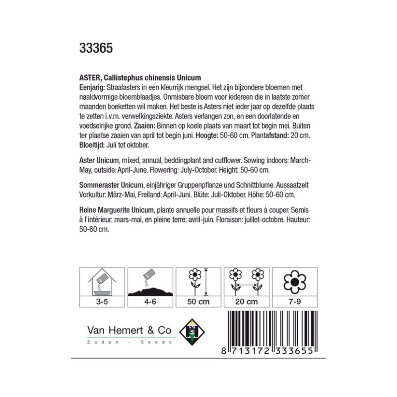Aster chinensis 'Unicum' -zaden-