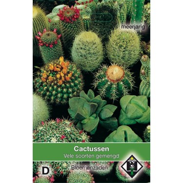 Cactusmengsel -zaden-