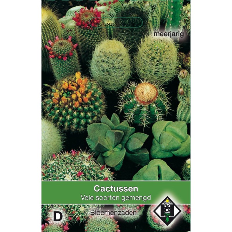 Cactusmengsel -zaden-