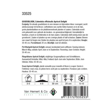 Calendula officinalis 'Apricot Delight' -zaden-
