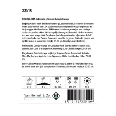 Calendula officinalis 'Calexis Orange' -zaden-