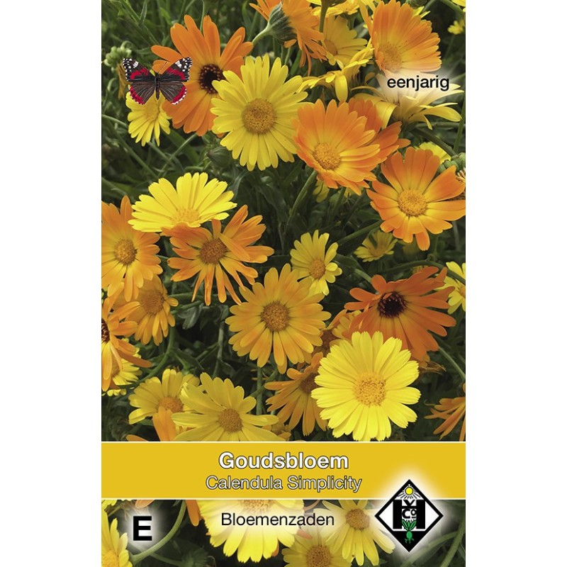 Calendula officinalis Simplicity (Goudsbloem) -zaden-