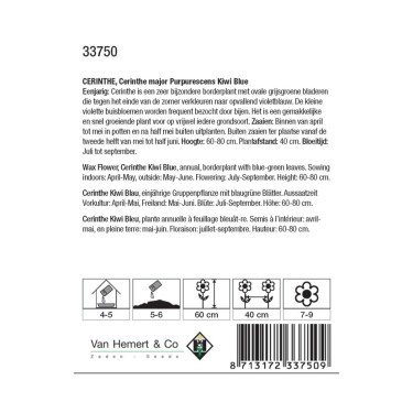 Cerinthe major purpurescens 'Kiwi Blue' -zaden-