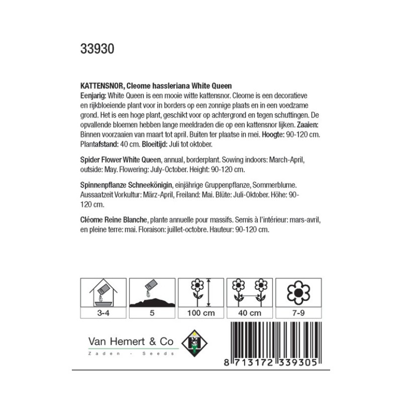 Cleome hassleriana 'White Queen' -zaden-