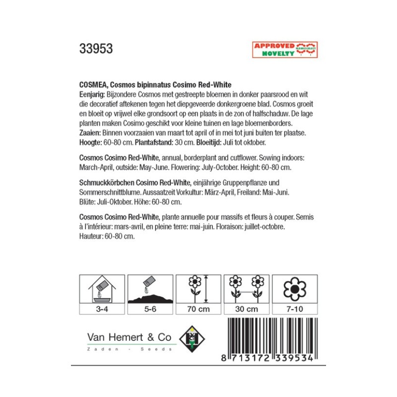 Cosmos bipinnatus 'Cosimo Red-White' -zaden-