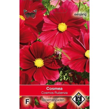Cosmos bipinnatus 'Rubenza' -zaden-