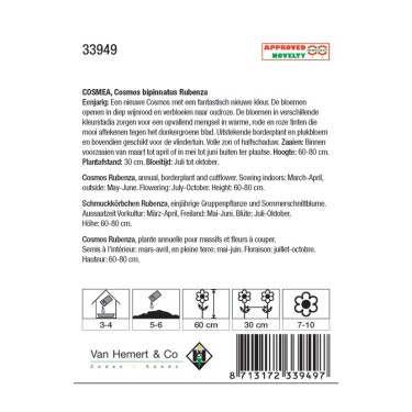 Cosmos bipinnatus 'Rubenza' -zaden-
