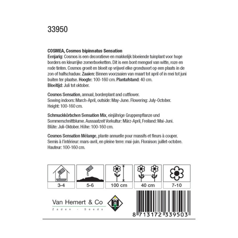 Cosmos bipinnatus 'Sensation' -zaden-