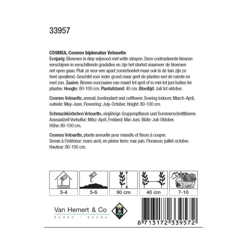 Cosmos bipinnatus 'Velouette' -zaden-