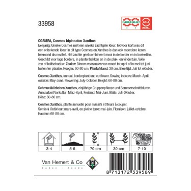 Cosmos bipinnatus 'Xanthos' -zaden-