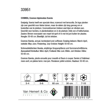 Cosmos bipinnatus 'Xsenia' -zaden-