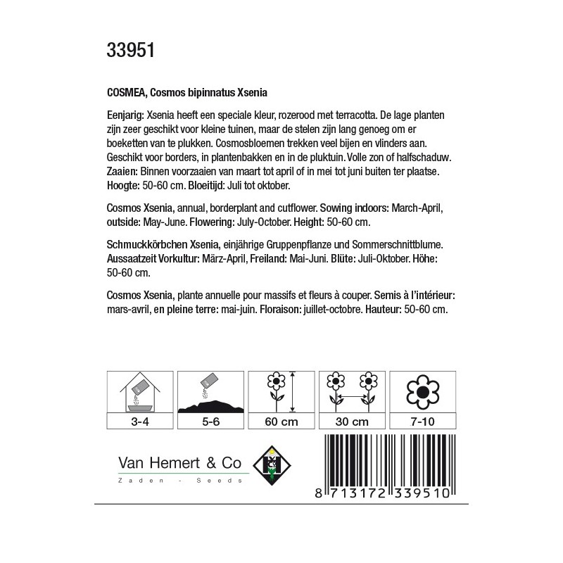 Cosmos bipinnatus 'Xsenia' -zaden-