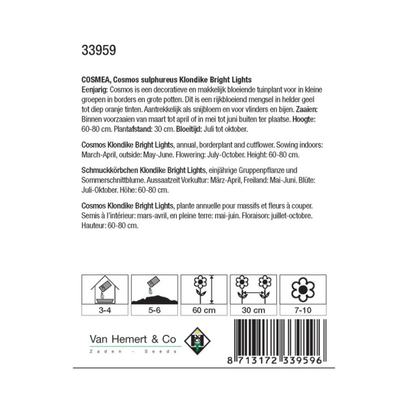 Cosmos sul. 'Klondike Bright Lights' -zaden-