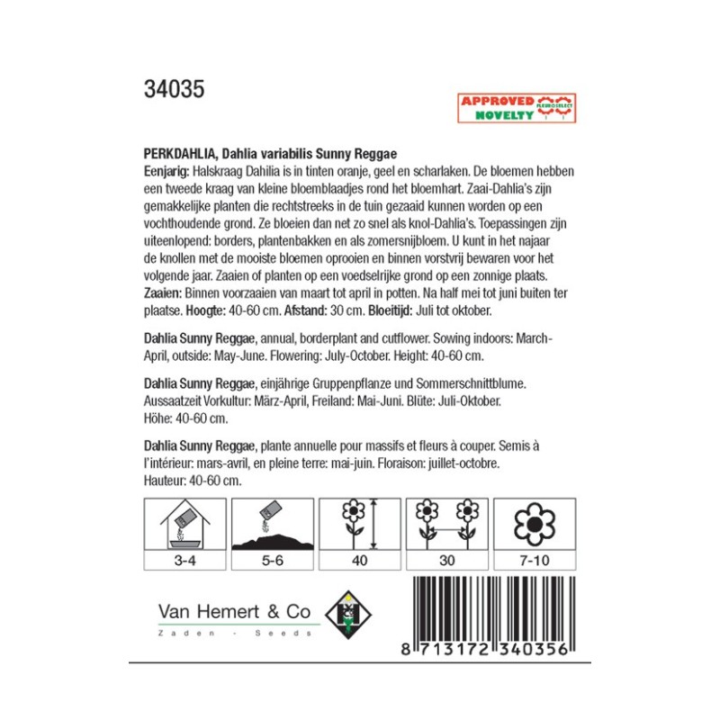 Dahlia variabilis 'Sunny Reggae' -zaden-