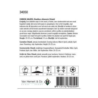 Dianthus chinensis 'Chianti' -zaden-