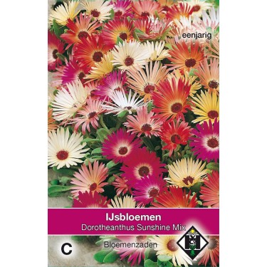 Dorotheanthus bellidiformis 'Sunshine Mix' -zaden-