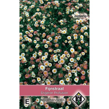 Erigeron karvinskianus 'Profusion' -zaden-