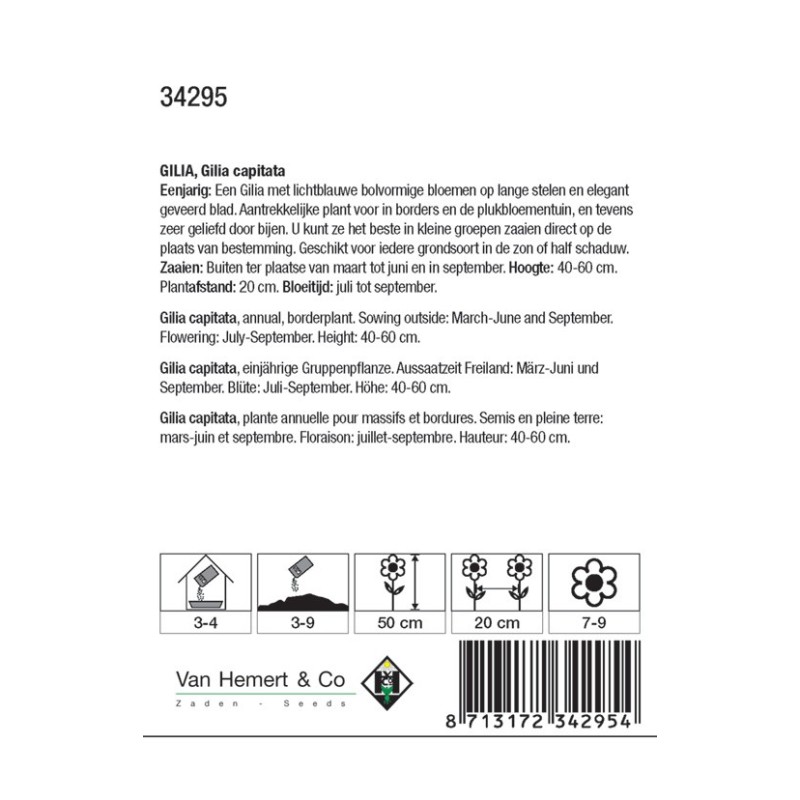 Gilia capitata -zaden-