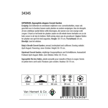 Gypsophila elegans 'Convent Garden' -zaden-