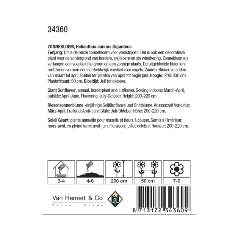 Helianthus annuus 'Giganteus' -zaden-