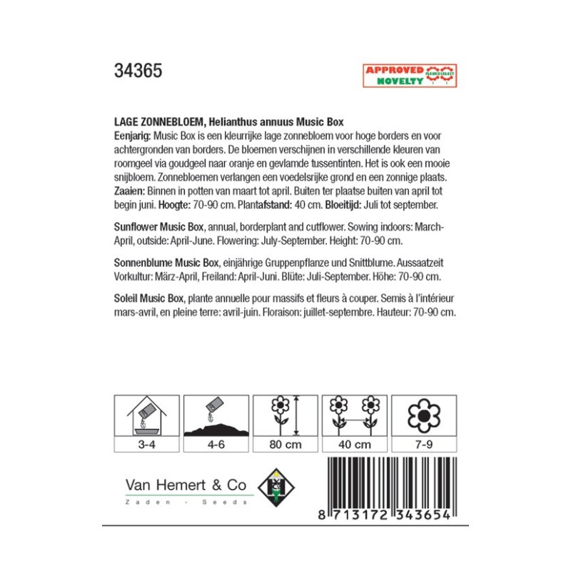 Helianthus annuus 'Music Box' -zaden-