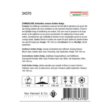 Helianthus annuus 'Golden Hedge' -zaden-