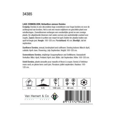 Helianthus annuus 'Domino' -zaden-