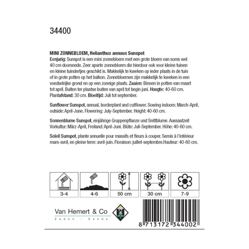 Helianthus annuus 'Sunspot' -zaden-