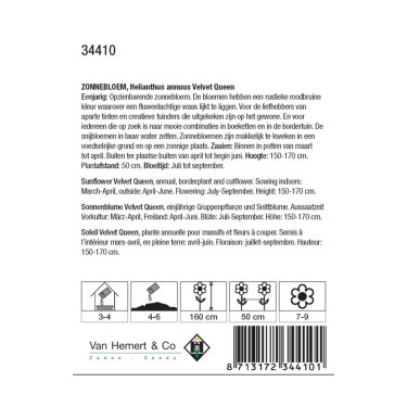 Helianthus annuus 'Velvet Queen' -zaden-