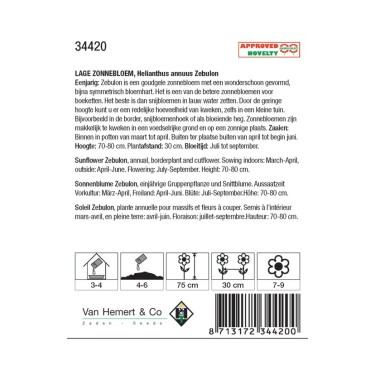 Helianthus annuus 'Zebulon' -zaden-