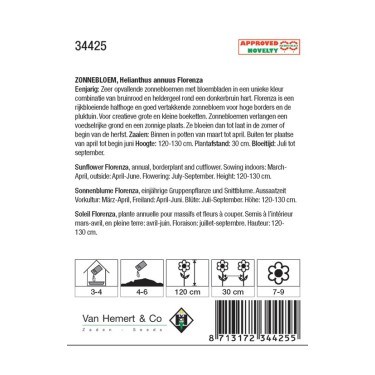 Helianthus annuus 'Florenza' -zaden-