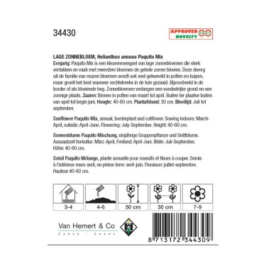 Helianthus annuus 'Topolino' -zaden-