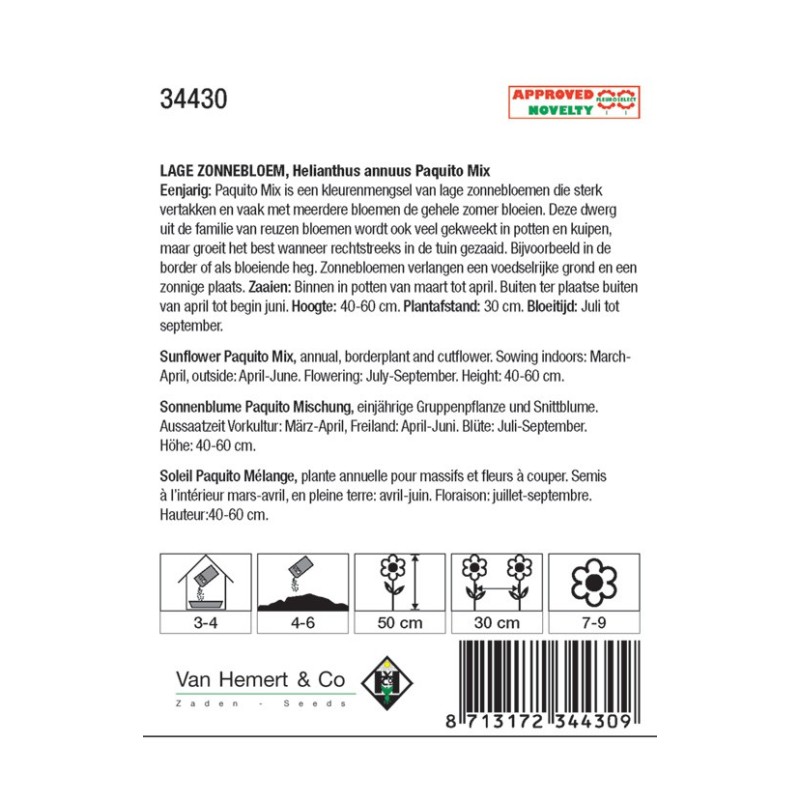 Helianthus annuus 'Topolino' -zaden-