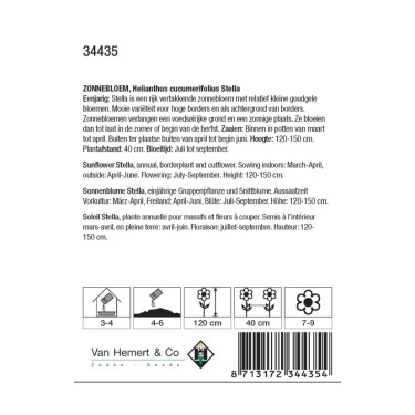 Helianthus cucumerifolius 'Stella' -zaden-