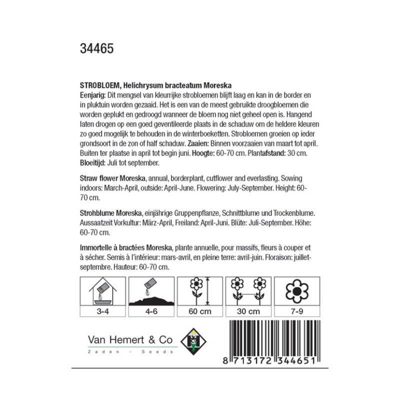 Helichrysum bracteatum 'Moreska' -zaden-