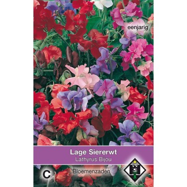 Lathyrus odoratus 'Bijou' -zaden-