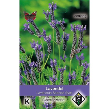 Lavandula multifida 'Spanish Eyes' -zaden-