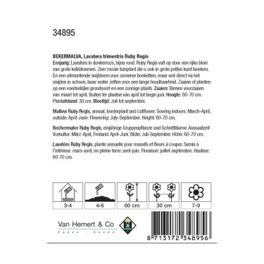 Lavatera trimestris 'Ruby Regis' -zaden-