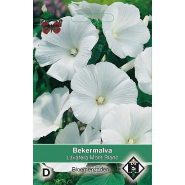 Lavatera trimestris 'Mont Blanc' -zaden-