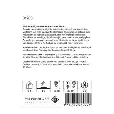 Lavatera trimestris 'Mont Blanc' -zaden-