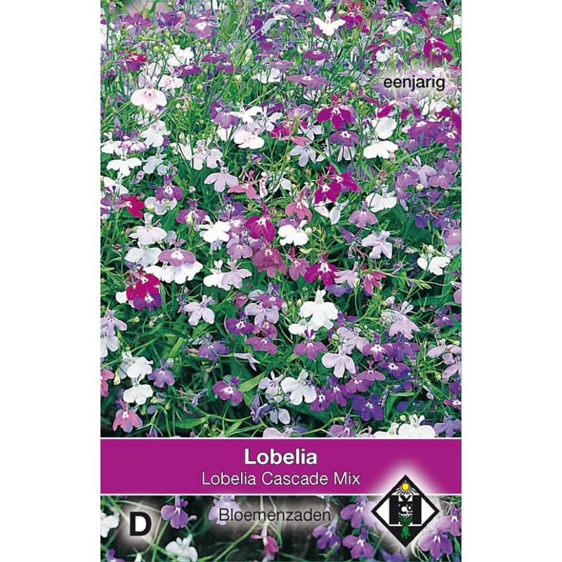 Lobelia pendula 'Cascade Mix' -zaden-