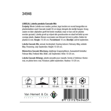 Lobelia pendula 'Cascade Mix' -zaden-
